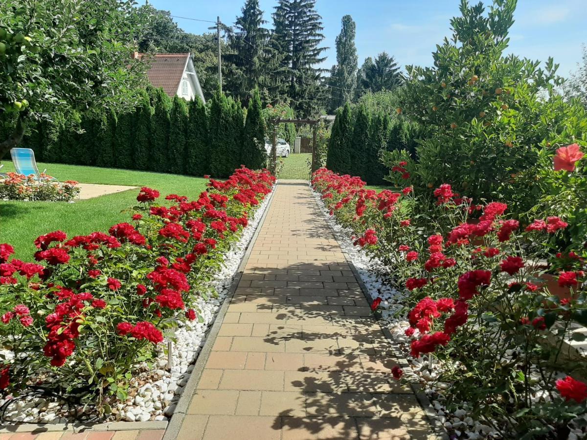 Bed and Breakfast Rozsakert Vendeghaz Szigliget Zewnętrze zdjęcie