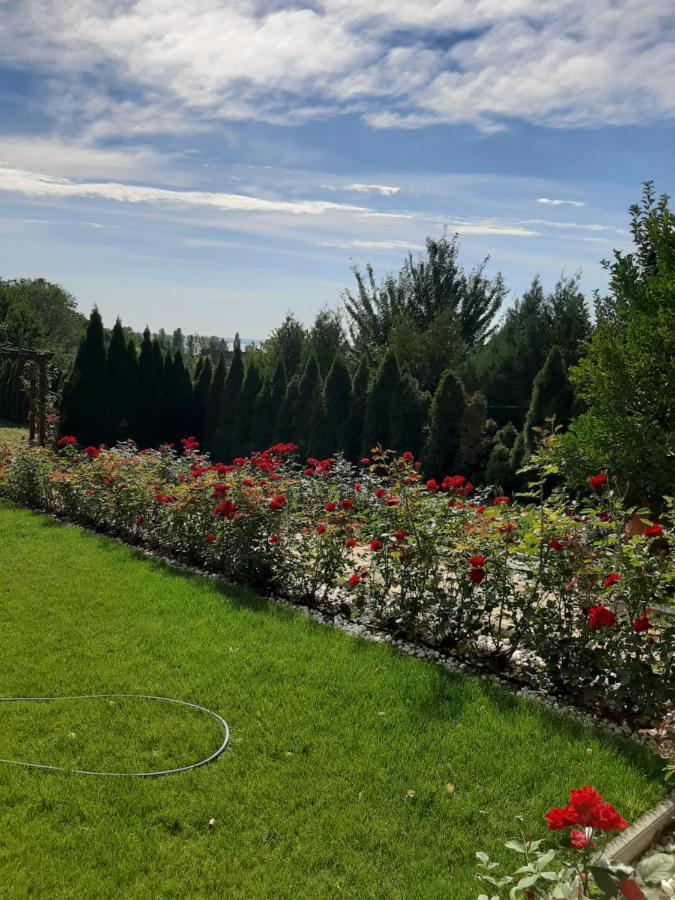 Bed and Breakfast Rozsakert Vendeghaz Szigliget Zewnętrze zdjęcie