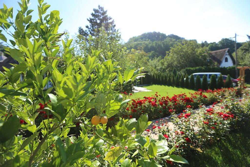 Bed and Breakfast Rozsakert Vendeghaz Szigliget Zewnętrze zdjęcie