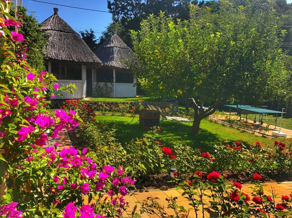 Bed and Breakfast Rozsakert Vendeghaz Szigliget Zewnętrze zdjęcie